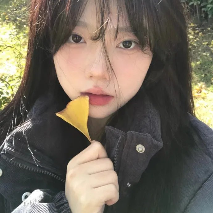 琳赛·萝涵的印度之旅